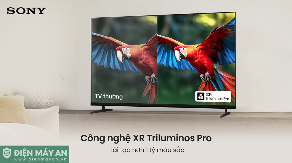 Google Tivi Sony 4K 75 inch K-75XR30M2